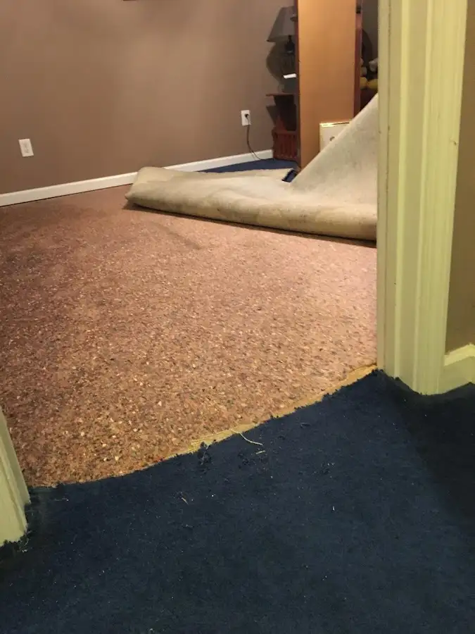 Carpet pad removal revealing water damage during Water Mitigation Services in Albert Lea
