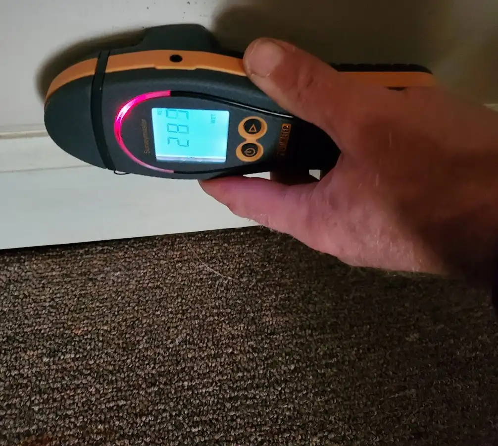 Moisture detection at baseboard during Mold Inspection & Testing in Albert Lea