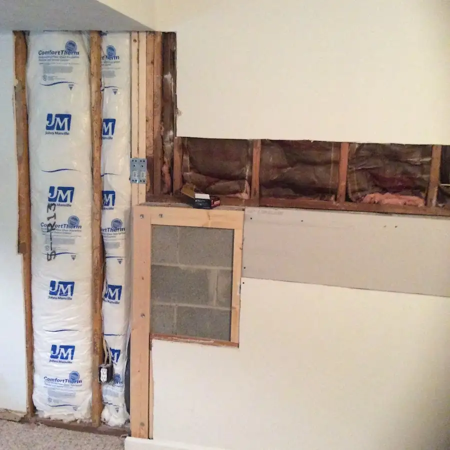 Wall insulation replacement during Odor Removal & Deodorization in Albert Lea